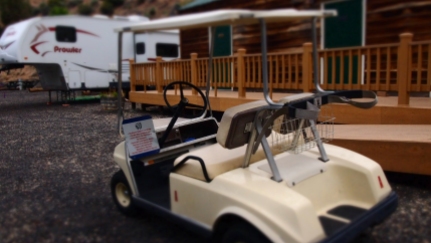Community golf carts